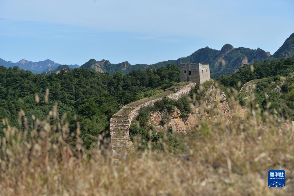 李逵劈鱼注册